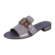 Hispanitas silver