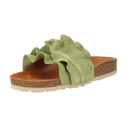 Verbenas ROCIO SERRAJE KELP