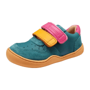 bLifestyle Anura