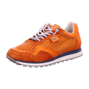Cetti Sneaker Low Top für Herren