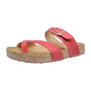 Haflinger Juno