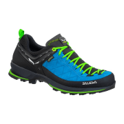 Salewa HE MTN TRAINER 2 GTX