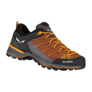 Salewa MS MTN TRAINER LITE