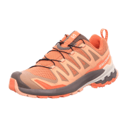 Salomon Schuhe XA PRO 3D V9 W Sbaked/F