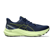 asics GT-2000 12 GTX