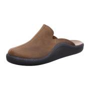 Westland oliv