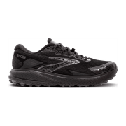 Brooks Divide 5 GTX