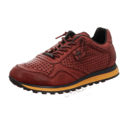 Cetti Sneaker Low Top für Herren