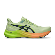 asics GT-2000 12 303
