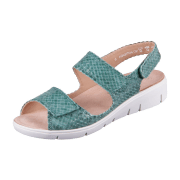 Solidus Honey - Weite H