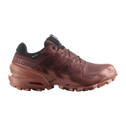 Salomon Speedcross 6 GTX