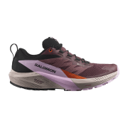 Salomon Sense Ride 5 GTX