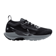 Nike Pegasus Trail 5 GORE-TEX Trailrunning-Schuhe Damen 001 - black/wolf grey-cool grey-anthracite 36