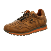 Cetti C848