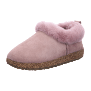 Haflinger Iceland
