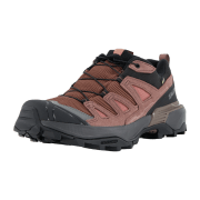 Salomon Schuhe X ULTRA 360 LTR GTX W C
