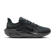 Nike Pegasus 41 GTX