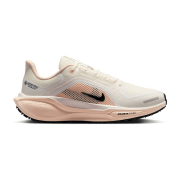 Nike Pegasus 41 GTX