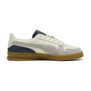 Puma Indoor Special