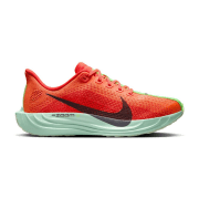 Nike Pegasus Plus