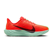 Nike Pegasus Plus