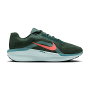 Diverse NIKE WINFLO 11
