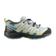 Salomon XA PRO V8CSWP J