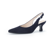 Gabor Pumps