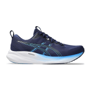 asics Gel-Pulse 16
