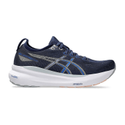 asics Gel-Kayano 31