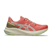 asics GT-1000 13 TR