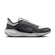 Nike Pegasus 41 GTX