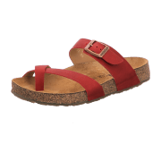 Haflinger 819079