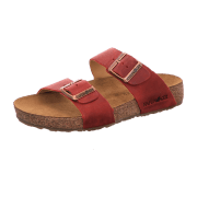 Haflinger 819016