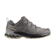 Salomon XA Pro 3D V9 Schuhe Damen grün grau GORE-TEX 478231
