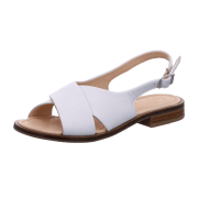 Werner Schuhe Surfinia