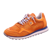 Cetti Sportliche Schnürschuhe für Herren