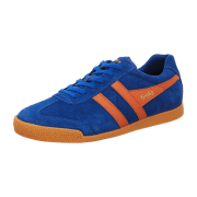Gola Harrier