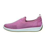 ara Lissabon Slipper orchidee