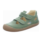 KOEL olive