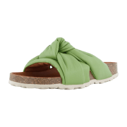 Verbenas RAINBOW ECOBRUSH KELP