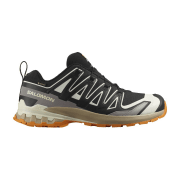 Salomon HE Schuhe XA PRO 3D V9 GTX Aurred