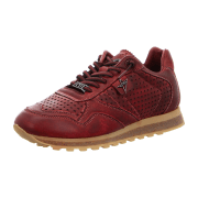 Cetti Sneaker Low Top für Herren