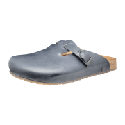 Haflinger Bio Lorenzo