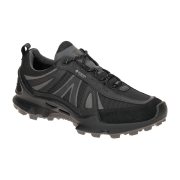 Ecco Biom C-Trail Schuhe schwarz Damen Trekking GORE-TEX 803463