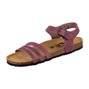 Plakton Banner 181007 burdeos 546 burdeos Apure