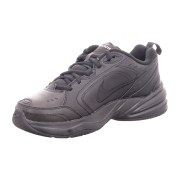 Nike Training AIR MONARCH IV