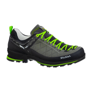 Salewa MTN Trainer 2 L