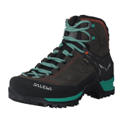 Salewa Mountain Trainer Mid GTX