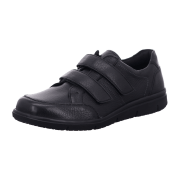 Solidus Hardy 500